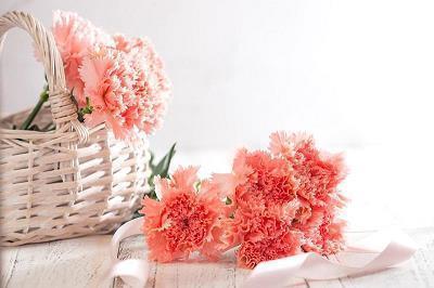 芙蓉出水