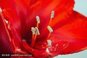 励志语录短句日语