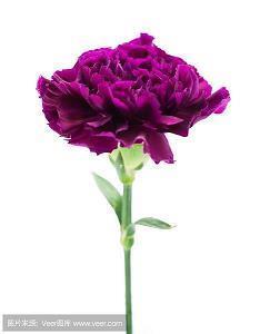 一个人伤感很冷的句子