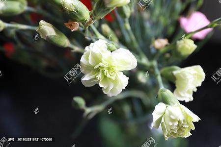 发朋友圈有孝心的说说 朋友圈孝顺的说说(精选19句)