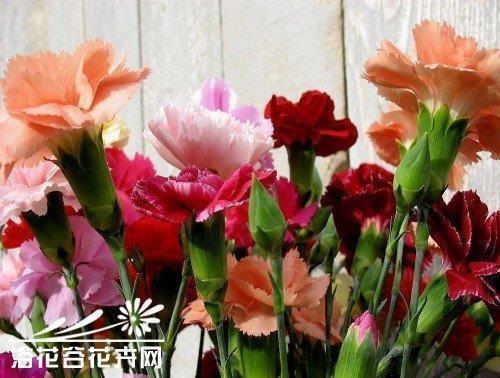 有些人有些事的说说27句