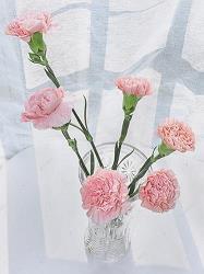 2021春节除夕祝福语简短