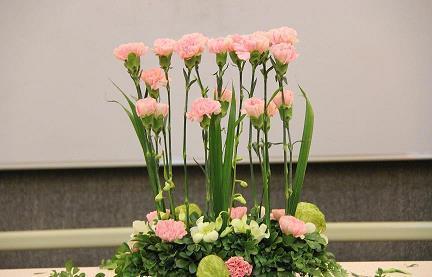 驰赴