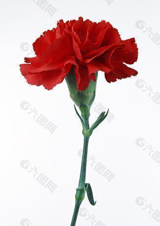 庆祝祖国72周岁华诞贺词(精选95句)