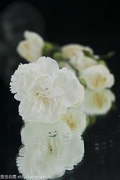 心情短语致自己：你是我荒唐青春里唯一的认真