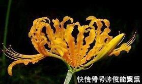 最潮老公的称呼亲爱的 给老公超甜的备注