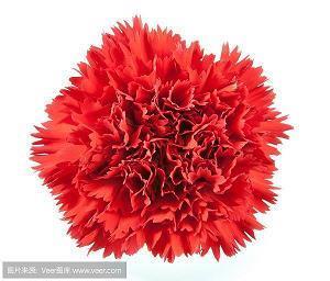 2021端午节有趣的祝福语句子