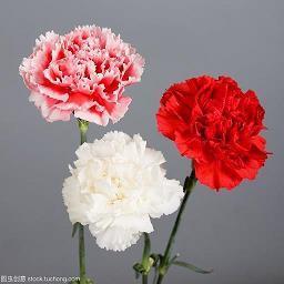 抖音上最火的下雨说说 雨天幽默正能量的句子合集83句
