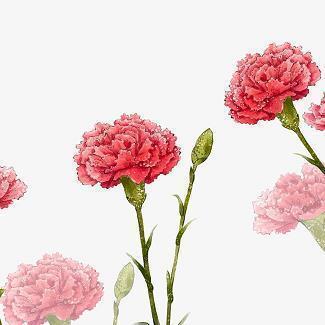 3月你好发朋友圈的唯美说说75句