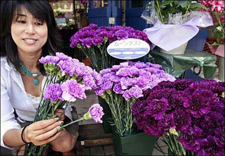 2021春节祝福语简短一句话