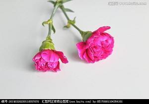 【精华】最新四月最后一天心情说说句子汇编90句