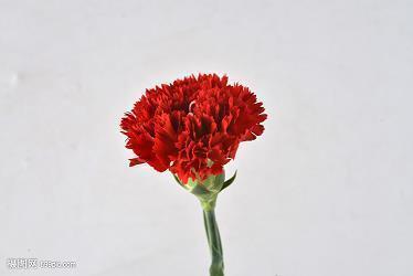 量才录用
