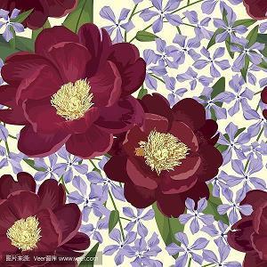 关于青春的话56句