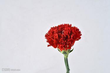 馁