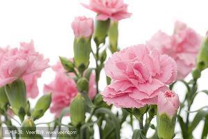 吸引女生朋友圈的句子 朋友圈吸引女生的说说(精选62句)