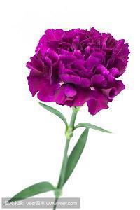 关于家里催婚的朋友圈说说句子(精选22句)