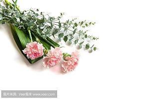 词职