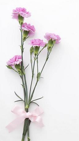 五四青年节心情说说汇总41句