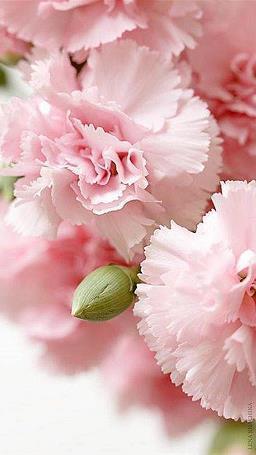 2021大寒腊八同一天朋友圈文案说说78句