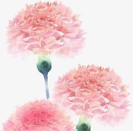 2021年五一劳动节祝福句子