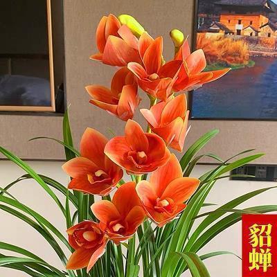 2021纪念春节句子文案简短