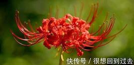 关于团结励志的句子40句