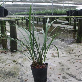 劝人心情好起来的句子 安慰别人心情不好的暖心话