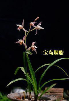 2020元旦贺卡祝福语