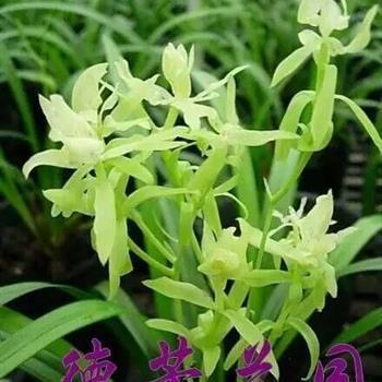 2021老师六一儿童节祝福语合集71句