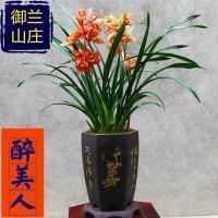 元宵简短祝福语大全 元宵节的祝福语一句话