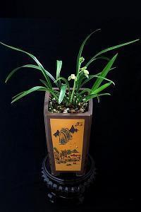 【推荐】抖音很丧的文案 抖音最近很火的丧句子推荐81句