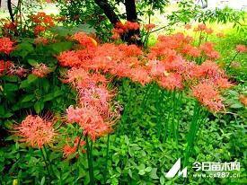 格言警句 经典格言100句