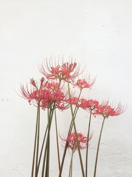 诗意浓浓，唯美古风的句子