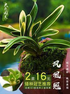 2021牛年祝福语句子简短