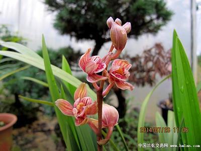 2021建党100周年七一经典寄语