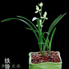 难以为继