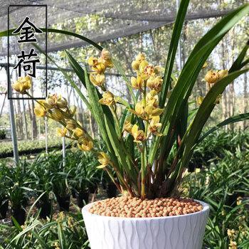 2020经典儿童节祝福语