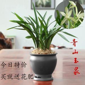 黯云