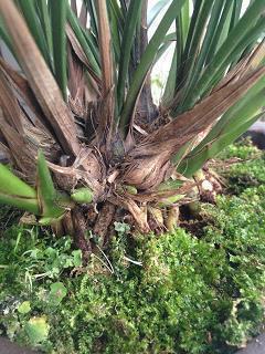 九月开学季的优美句子2021年(精选47句)