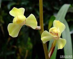 励志的句子简短致自己正能量的句子精选39句