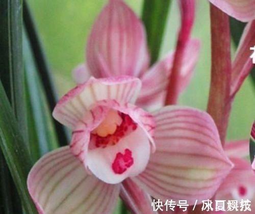 草间