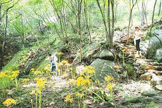 有内涵的五字短句 吸引人的短句5个字