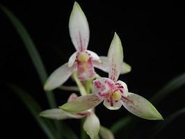 qq说说人生哲理说说大全 十分经典内涵的哲理句子