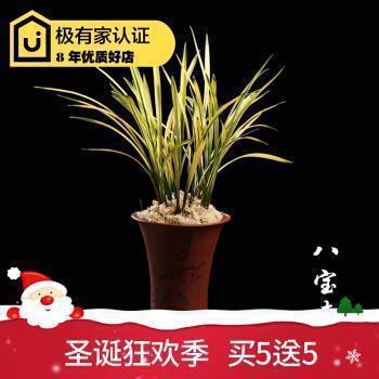 9月10日教师节写一段话(精选30句)