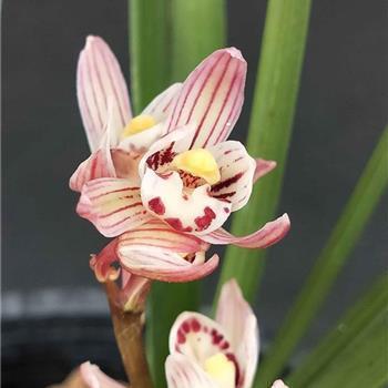 励志八月再见九月你好句子(精选38句)