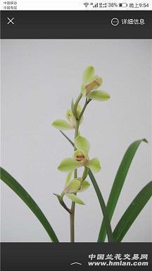 旅程结束的感言朋友圈 一场完美的旅行结束语(精选27句)