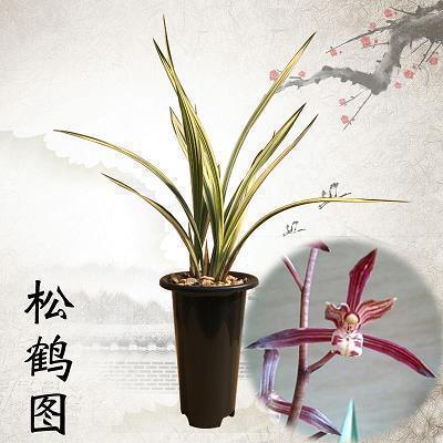 竚