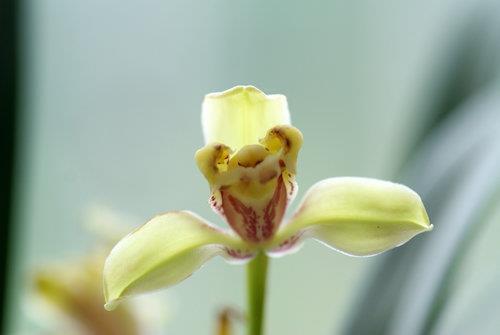 幽默骂人的经典句子99句