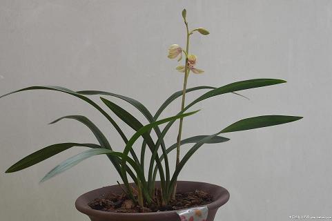 2021适合发朋友圈的句子79句