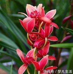 2020腊八大寒同一天的温馨祝福语